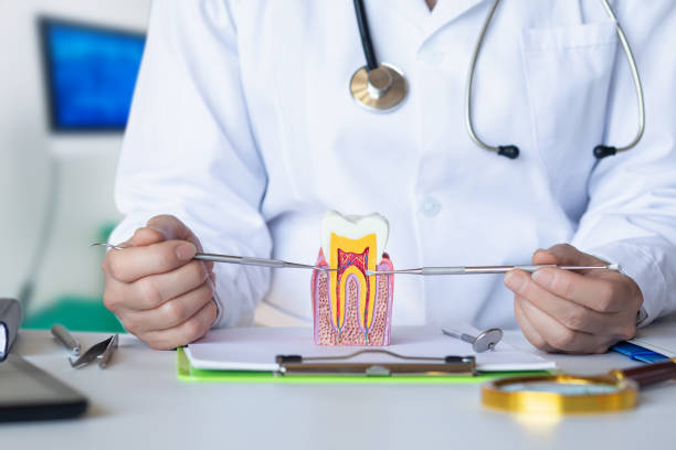 Best Root Canal Emergency Dentist  in Logan, IA